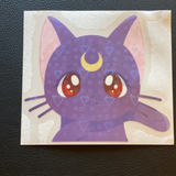 Magic Cats Sticker