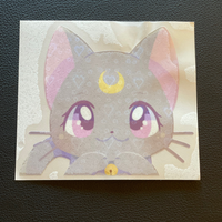 Magic Cats Sticker