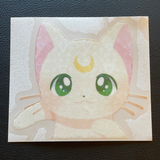 Magic Cats Sticker
