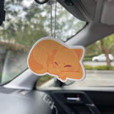 FB Orange Cat Freshener